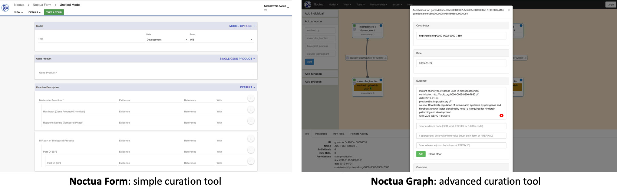 Noctua Curation Platform